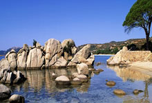 壹号娱乐：2025CBA全明星周末全阵容名单公布2025-02-22.